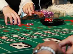 壹号电子娱乐app下载2024最新版